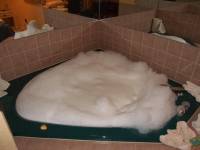 Dish soap is fun
